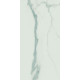 60X120 EFESTO STATUARIO GLOSSY
