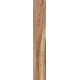 20X120 MY WOOD AVORIO