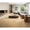 20X120 NEW DERBY MIELE RETT